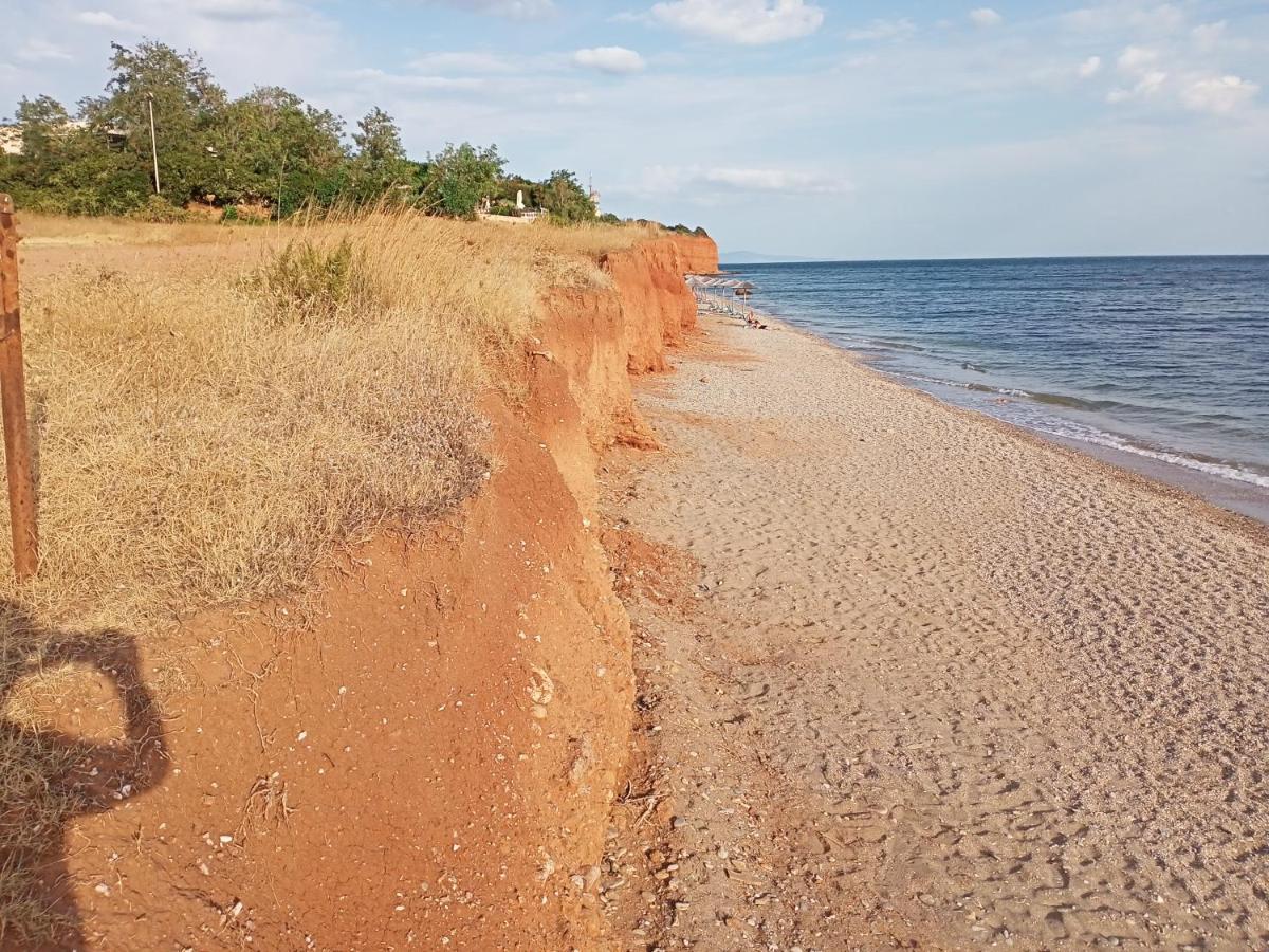 Апартаменты Semi-Basement 250M From Sea, Nea Chili Александроуполис Экстерьер фото